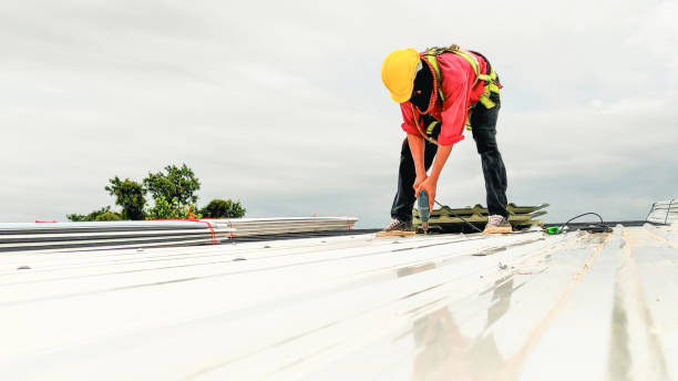 Best Emergency Roof Repair Services  in Crookston, MN