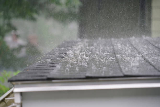 Best 4 Ply Roofing  in Crookston, MN